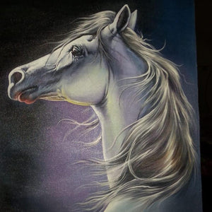 Oil Paintings