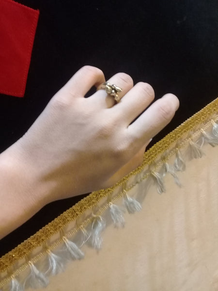 Horseshoe Ring 2 pieces