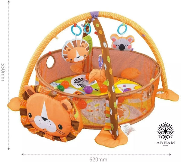 Kids 3 in 1 Baby Activity Gym and ball pit play mat