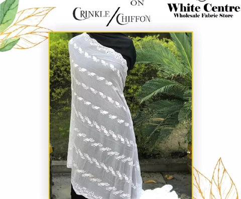 Embroidery on Crinkle Dupatta.