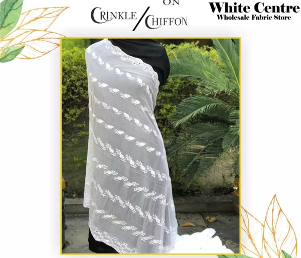 Embroidery on Crinkle Dupatta.