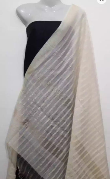 2 pieces Best Quality Organza Dupatta for women.