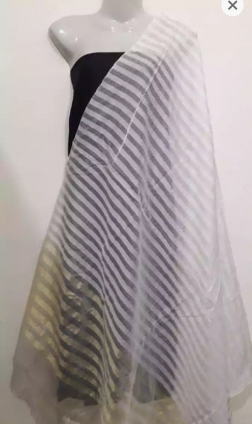 2 pieces Best Quality Organza Dupatta for women.