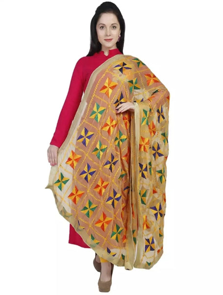 Punjabi Phulkari Embroidery Chiffon.