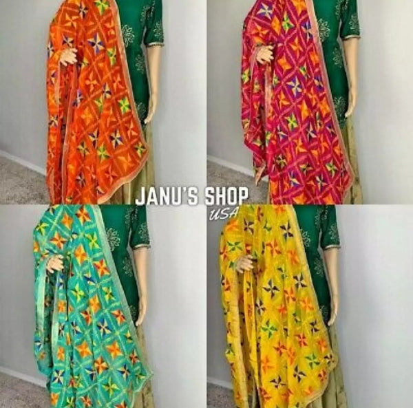 Punjabi Phulkari Embroidery Chiffon.