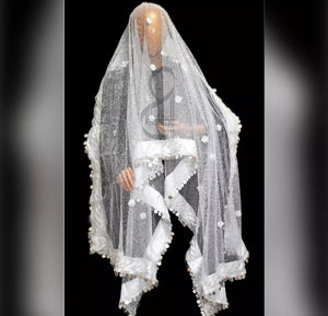 Moon Light Net Dupatta.
