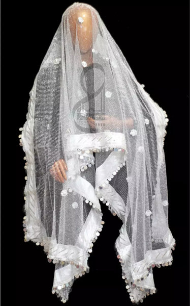 Moon Light Net Dupatta.