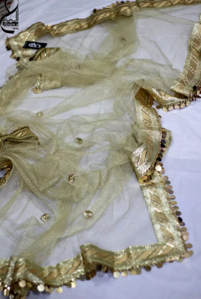 Moon Light Net Dupatta.